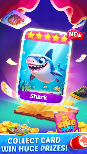 Bingo Frenzy: Live Bingo Games