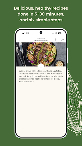 Green Chef: Healthy Meal Kits