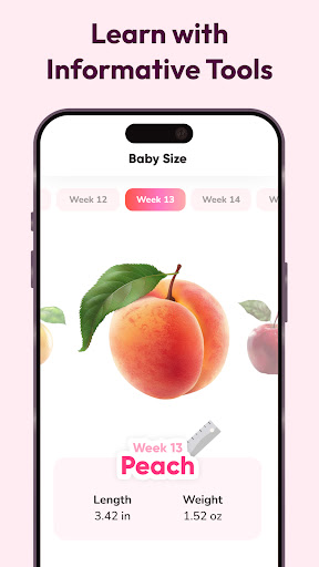 WeMoms Pregnancy Baby Tracker