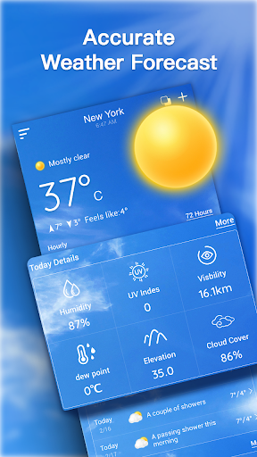 Live Weather Forecast