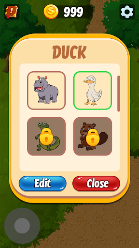 Animal Collection!