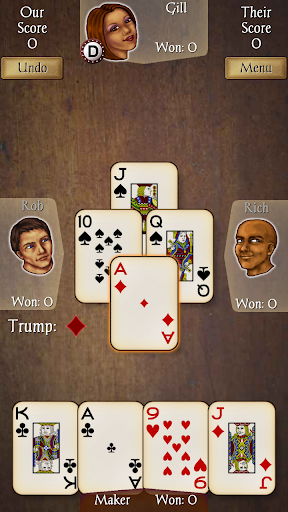 Euchre Pro