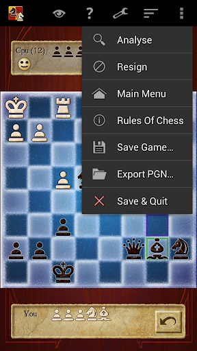 Chess Pro