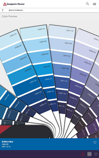 Color Portfolio