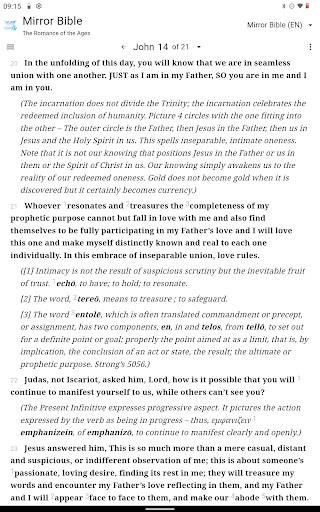 Mirror Study Bible