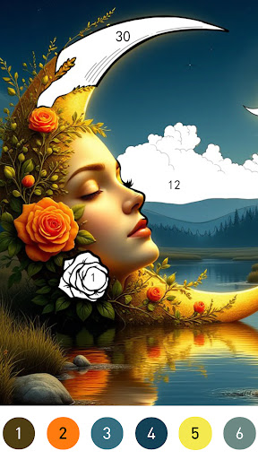 Fantasy Color By Number Game