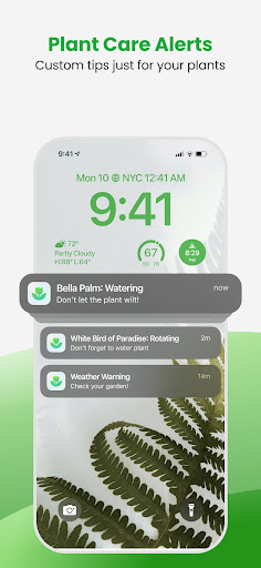 Plant App - Plant Identifier