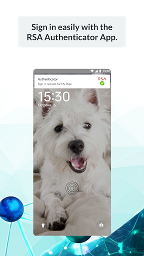 RSA Authenticator (SecurID)