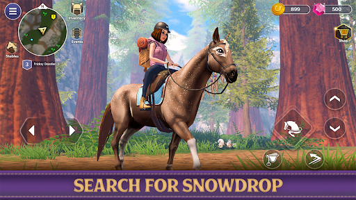 Star Equestrian - Horse Ranch