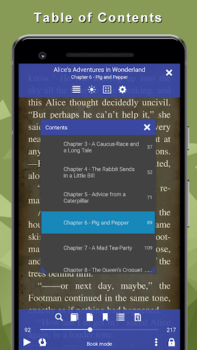 EPUB Reader for all books