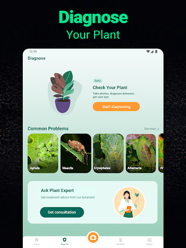Plantum - Plant Identifier