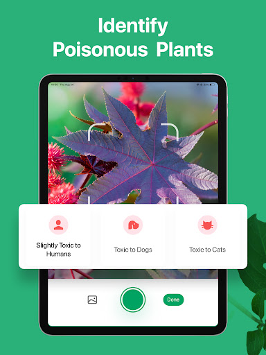 PictureThis - Plant Identifier