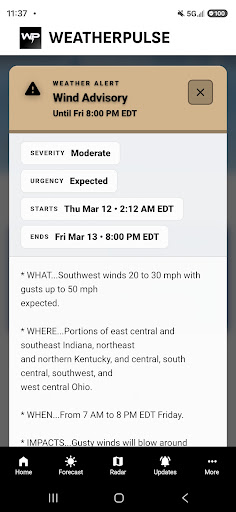 WeatherPulse (WxPulse)