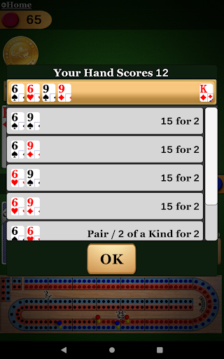 Cribbage Pro Online!