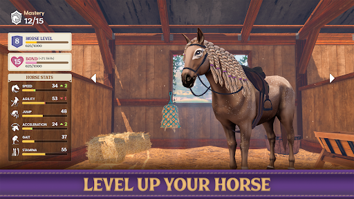Star Equestrian - Horse Ranch