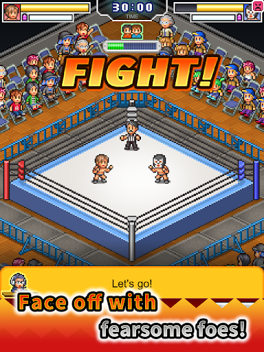 Pro Wrestler Story