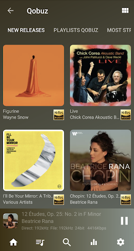 USB Audio Player PRO