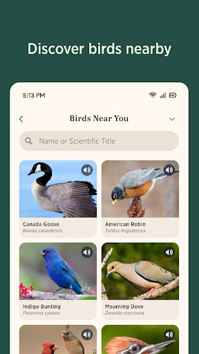 Audubon Bird Guide