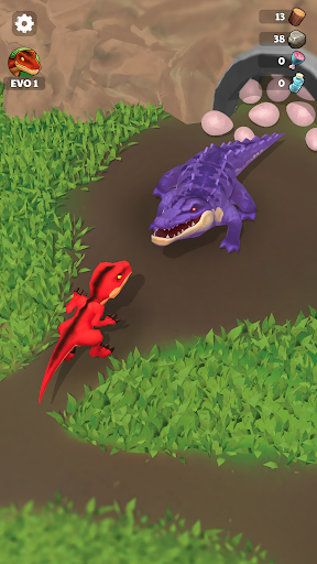 Raptor Evolution