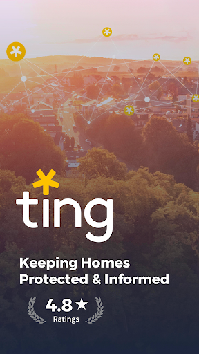 Ting