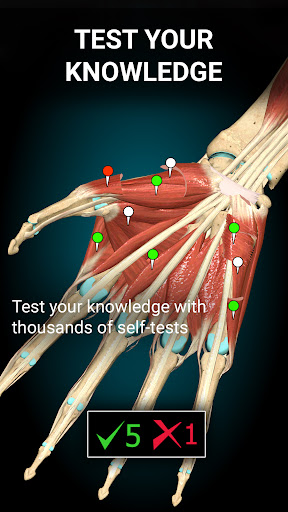 Anatomy Learning By Dr. Blanco