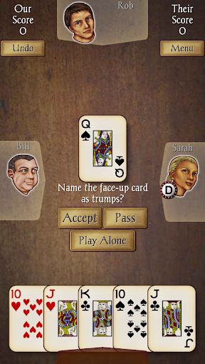 Euchre Pro