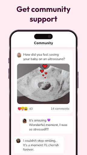 WeMoms Pregnancy Baby Tracker