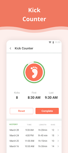 Pregnancy App