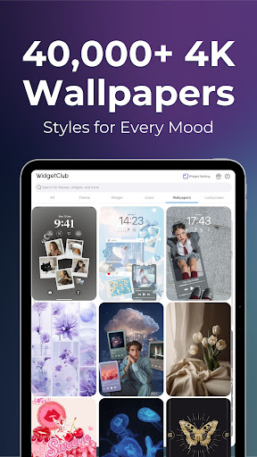 WidgetClub:Widget, Theme, Icon