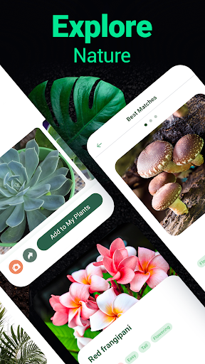 Plantum - Plant Identifier