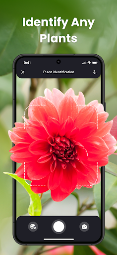 PlantIn Plant Identifier, Care