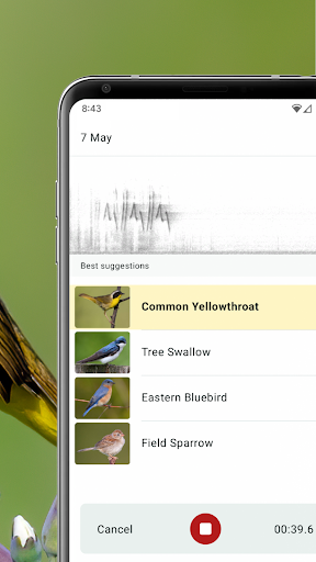 Merlin Bird ID by Cornell Lab