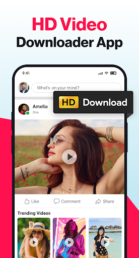 Video Downloader - Story Saver
