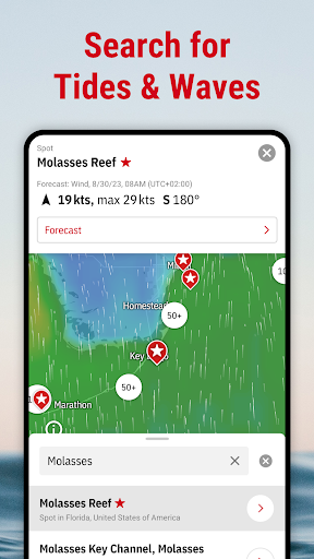 Windfinder Pro: Wind & Weather