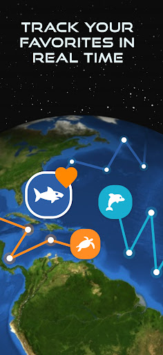 OCEARCH Shark Tracker™