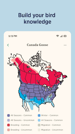 Audubon Bird Guide
