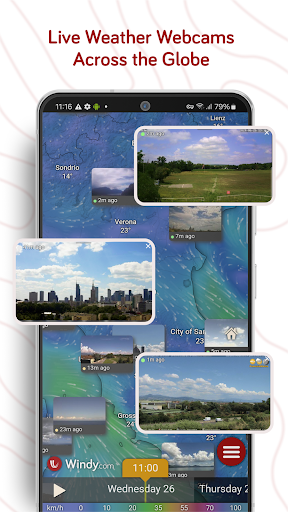 Windy.com - Weather Forecast