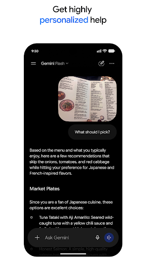 Google Gemini