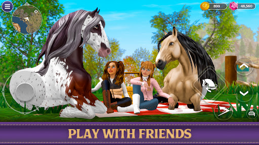 Star Equestrian - Horse Ranch