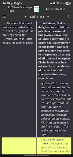 Mirror Study Bible