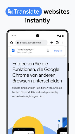 Chrome Dev