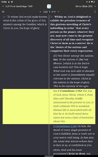 Mirror Study Bible