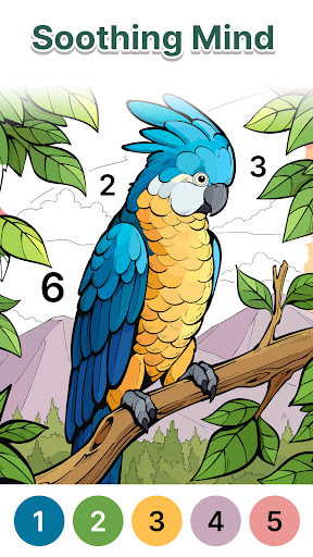 Anima Color - Paint by Number