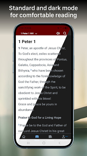 Bible Gateway