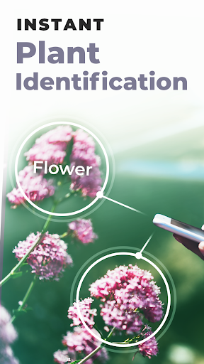 PlantSnap: Plant Identifier