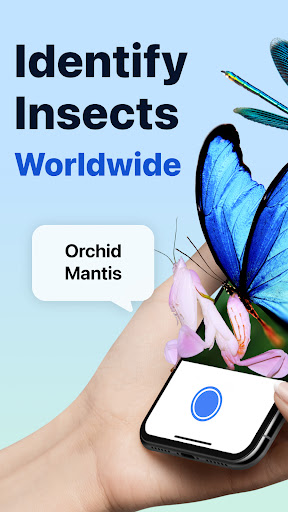 Picture Insect: Bug Identifier