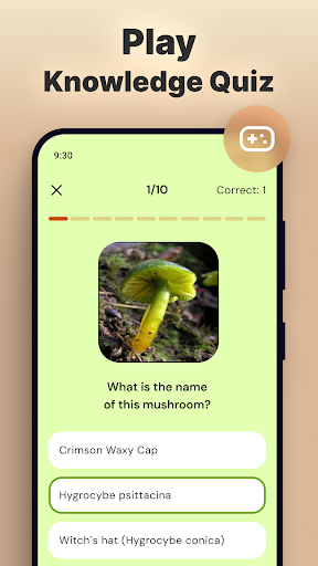 Mushroom Identification