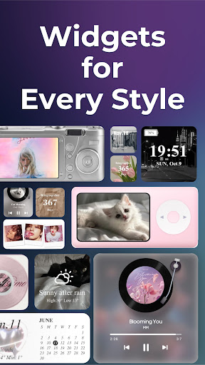 WidgetClub:Widget, Theme, Icon