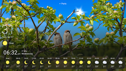 Weather Live Wallpapers
