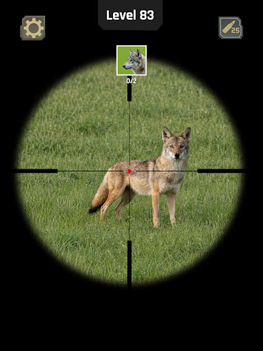 Animal Hunter: Wild Shooting